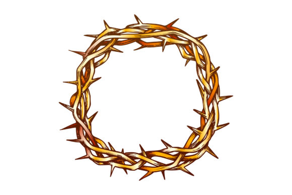 Top-Down View of the Crown of Thorns